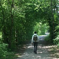 Wandern an der Seefelder Aach