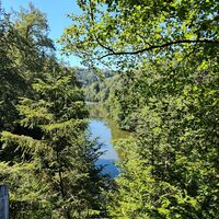 Blick auf die Ilz unterhalb der Triftsperre