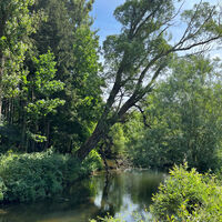 EschacchwegvorHorgen