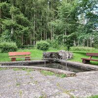 Tretbecken an Drei Buchen