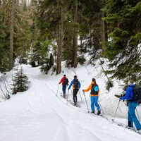 Einsteigerskitour Furna - Fadeuer
