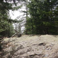 Schober