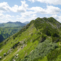 weiter gehts aufs Plannereck