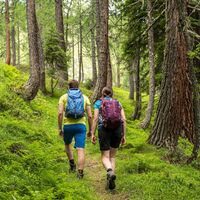 Es geht durch den Wald