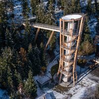 Baumwipfelpfad im Winter