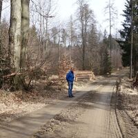 am Weg zum Friedrichsfelsen
