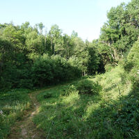 Schlichemwanderweg bei Hausen am Tann