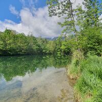 Teich in Puch