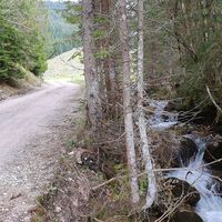 15.4 km Klammbach