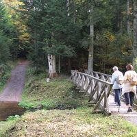 Brücke und Furt beim Eulenloch