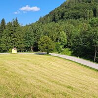 wieder fast zurück