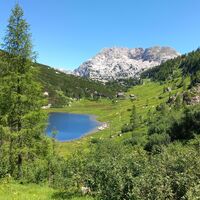 Elmsee