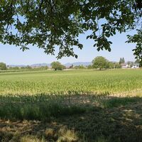 Blick auf Winden vom Storchenwanderweg Winden