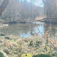 Flusslauf der Ilmenau bei Medingen