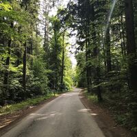 Papst-Franziskus Pilgerweg, Oststeiermark