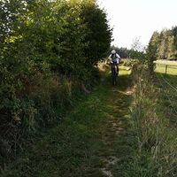 110 Gutau Runde