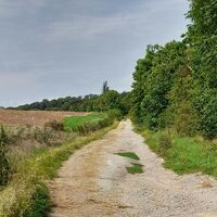 Feldweg zum Bauergraben