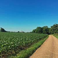 Blick über die Felder im Rheintal