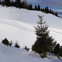 Die große Wechte: Schneestangen beachten