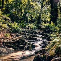 Pfad Amphitheater Bach