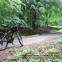 Steiler Forstweg am Eggeosthang