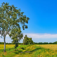 Wanderweg zwischen Eggersmühlen und dem Osterberg