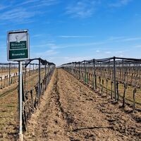 am Weg zur Aussichtswarte