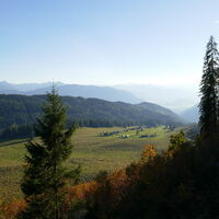 die letzten Meter zur Hinteregger Alm