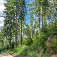 Historische Sportstätten Wanderung bei Oberhof