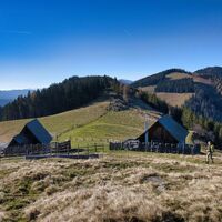 Blick auf die Almflächen der Gmoa Alm