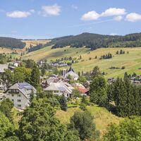 Blick auf Todtnauberg