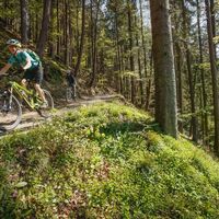 Mountainbiken in Kleinzell