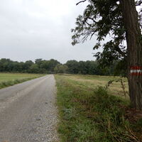 Kittsee - Nickelsdorf