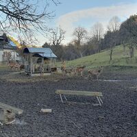 19.1 km Wildtiergehege Schrattenbach
