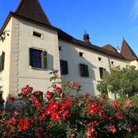Schloss Friedhofen in St. Peter Freienstein