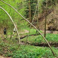 Steinbachklamm, Oststeiermark