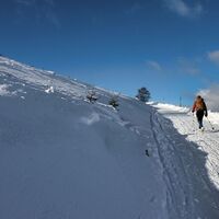 Gemütlich wandern wir auf der ausgeschobenen Straße dahin