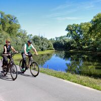 Radler auf dem Rheinradweg
