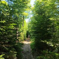 Hauptwanderweg Bayerischer Wald zur Kl. Kanzel