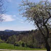 Fitnessrunde Mutlangen 3