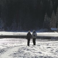 Ein ausgetretener Pfad führt rund um den See.