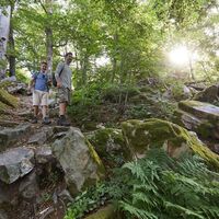 Erlebnis Nationalpark Hunsrück-Hochwald