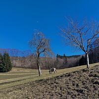 Kurz vor Haßberg