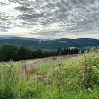 Ausblick von der Kophelle nach Kohlhagen