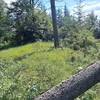 Am Dachsberggipfel