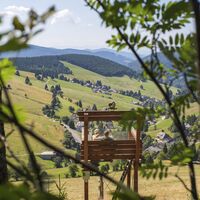 Blick auf Todtnauberg