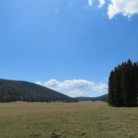 Rohrbachgraben -- Bodenwiese auf der Gahns