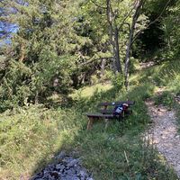 Bank im Wald