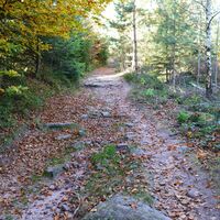 Alter Grenzweg