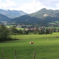 Aussichten Almwiesen